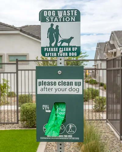 Dogs and dog park